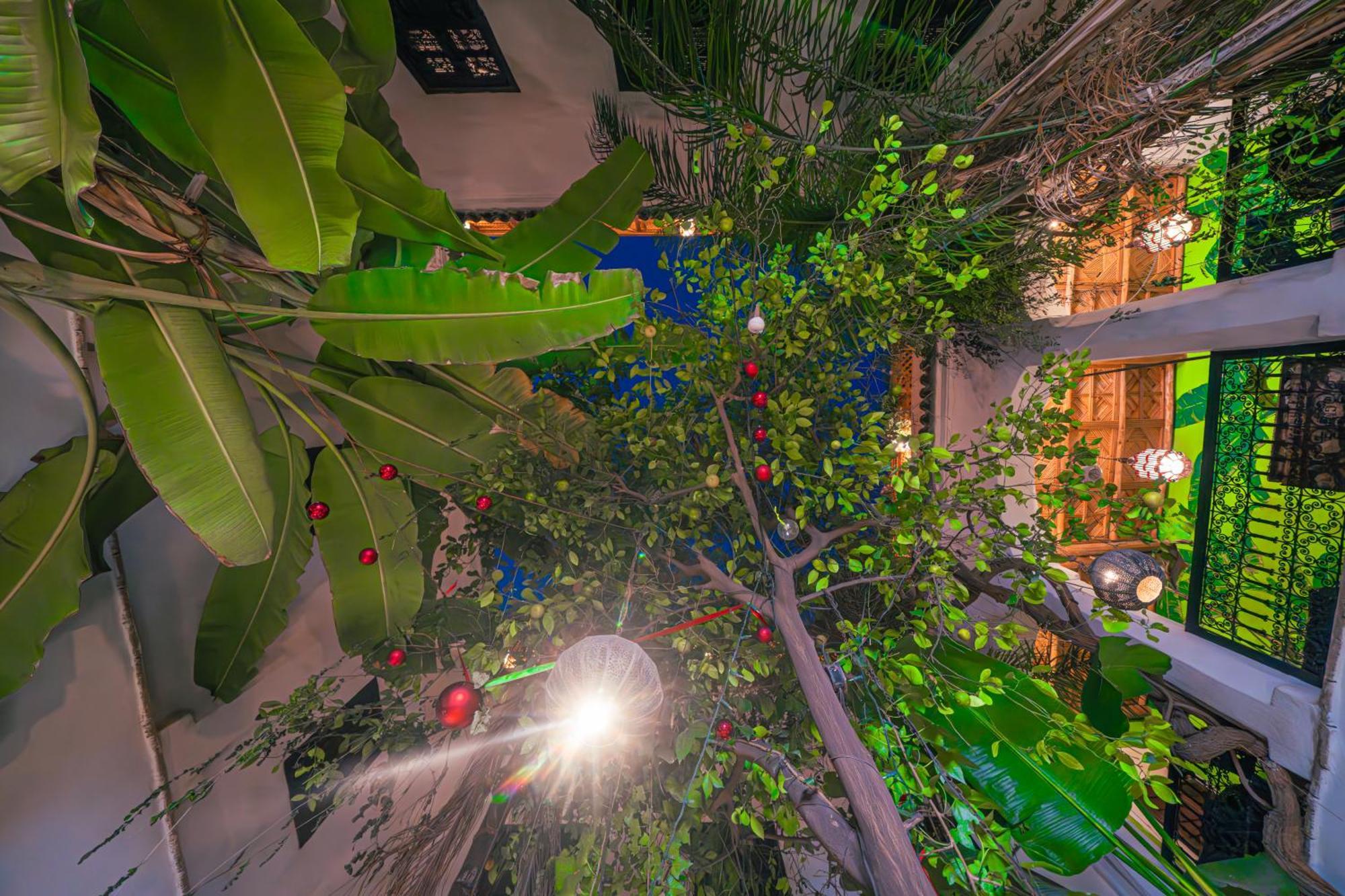 Riad Tibibt มาร์ราเกช ภายนอก รูปภาพ